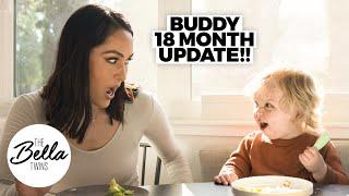 Buddys 18-MONTH UPDATE Big Mamas Boy