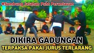 Terpaksa Pakai Jurus Terlarang Karna Dikira Gadungan