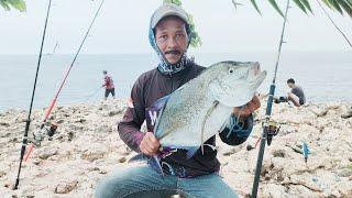 umpan langsung di hantam ikan bluefin trevalyy