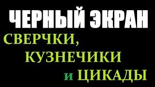 Поющие Сверчки и Кузнечики   ЧЕРНЫЙ ЭКРАН для сна  БЕЛЫЙ ШУМ  Звуки для сна  Быстро Заснуть