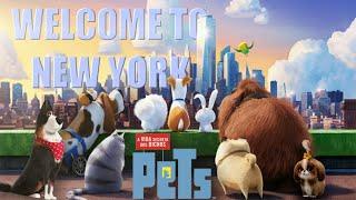 PETS  Welcome to New York - Taylor Swift  Video Musical 