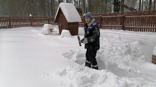 По новой дороге. Ёлочка . Лосось в фольге.