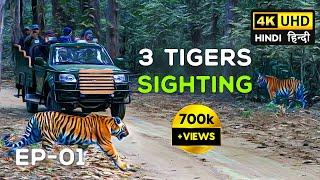 Day 1 Kanha National Park - Mukki Gate Tiger Safari - MV3 Mahavir 3 4K Video Hindi  हिन्दी