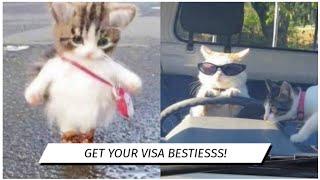 *VISA APPROVAL SUBLIMINAL =_= Instantly get your Visa approved