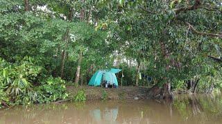 BERMALAM DI PINGGIR SUNGAI BESAR SAAT AIR NAIK DAN PANEN IKAN BAUNG DI RAWA KERUH..