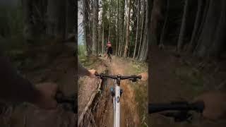 Lenzerheide finest trail #endurobike #mountainbike #enduromtb #mtb