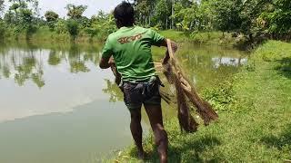 Best Cast Net Fishing। Traditional Net Catch Fishing in Village With Beautiful Natural 2022