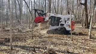 Bobcat T770 with Fecon Forestry Mulcher Part7