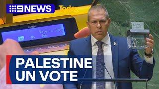 Australian joins vote support for Palestine as UN member  9 News Australia