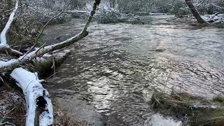 Lunch by the stream