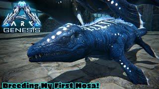 Breeding Up The  X-Mosasaurus Ark Genesis Part 26