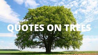 Best Inspirational Quotes About Trees  Quotes On Importance Of Trees  Save Tree Quotes In English