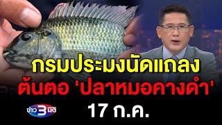 ข่าว3มิติ 15 กรกฎาคม 2567 l กรมประมง เเจ้งกำหนดการเเถลงต้นตอ-ผลกระทบจาก ปลาหมอคางดำ 17 ก.ค.นี้