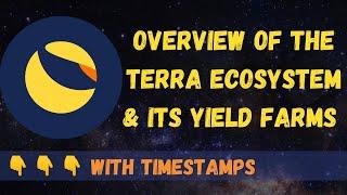 Terra Ecosystem + Yield Farm Overview with Terra Bites $LUNA