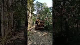 detik detik yang menegangkan muatan kayu jati