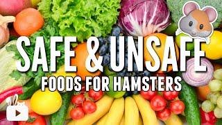 SAFE and UNSAFE foods for hamsters