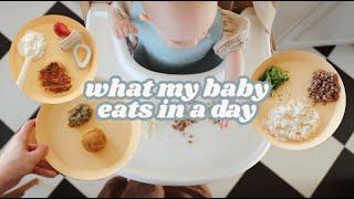 What My 8 Month Old Eats in a Day  Mostly Baby Led Weaning