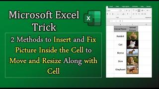 How to Insert Picture in Excel Cell  2 Methods to Insert and Fix Photo in Excel Cell