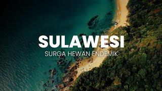 Surga Hewan Endemik Sulawesi