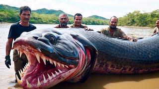 Pria Nekat Mancing 30 Hari Di Sungai Amazon Hanya Ingin Buktikan Ikan Raksasa Ternyata Ngeri