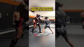 Muay Thai Fighter Gets HUMBLED By Pro Boxer