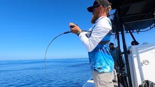 JIGGING THE OUTER REEF - With PELAGIC PURSUIT
