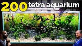 The Tetra Jungle Aquarium EPIC 4ft 200 Fish Tank Aquascape Tutorial
