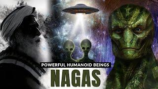 NAGAS THEY CAME FROM OTHER DIMENSION  The TRUTH About Other Dimensions  Physics  Sadhguru