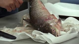 How to Remove Fish Scales without using a Scaler