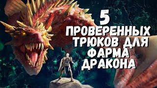 5 ПРОВЕРЕННЫХ ТРЮКОВ ДЛЯ ФАРМА ДРАКОНА I РЕШАЕМ ПРОБЛЕМУ ШМОТА I RAID Shadow Legends