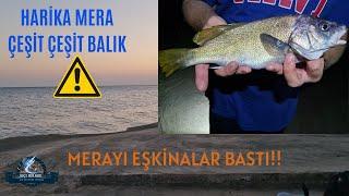 BU MERA EŞKİNA KAYNIYOR  SİLİVRİ BALIK AVI #fishing #fish #surfcasting #balıkavı