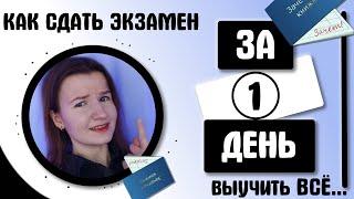 КАК ПОДГОТОВИТЬСЯ К ЭКЗАМЕНУ ЗА 1 ДЕНЬ  РЕАЛЬНЫЙ КЕЙС СДАТЬ ЭКЗАМЕН ЗА ОДИН ДЕНЬ  СЕССИЯ \ ЕГЭ