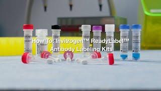 How to Invitrogen ReadyLabel Antibody Labeling Kits Protocol