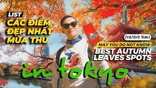 DU LỊCH NHẬT BẢN TỰ TÚC - Những điểm chụp ảnh lá vàng mùa thu đẹp ở Tokyo  IAMKOO Japan Vlog