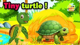 Tiny Turtle  I Had a Little Turtle  Tiny Tim Nursery Rhyme  Rihans Rhymes & Fun Little Turtle