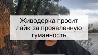 Гарбуз показывает себя настоящую и это «страшный» человек