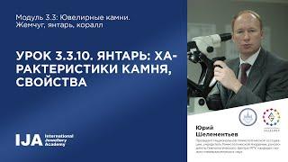 Эксперт. Модуль 3.3 Урок 10. Янтарь характеристики камня свойства