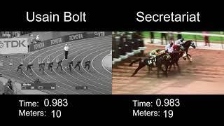 Usain Bolt vs Secretariat - Who would win?