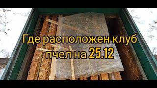 Зимовка пчел без утепления.Где расположен клуб на 25.12.