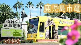 「街行く路面電車」鹿児島市電　桜島と歩む