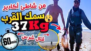 رقم قياسي جديد لسمك الكوربين  37kgبشاطئ AGADIR على المباشرمع رايس العربي