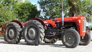 Special Built Massey Ferguson 35 Double Butt  Small Tractor with Great Power