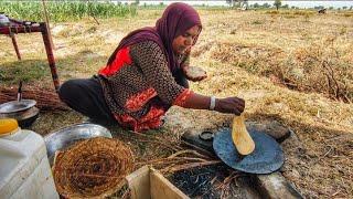 Morning Routine of Village Woman Pakistan Pakistani Nomadic Lifestylevillage Life Pakistan