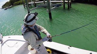 Dock Fishing Crush & Fake Scented Crab Test