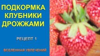 ПОДКОРМКА КЛУБНИКИ ДРОЖЖАМИ.  СУПЕР УДОБРЕНИЕ РЕЦЕПТ 1.vselennaya uvlesheniy