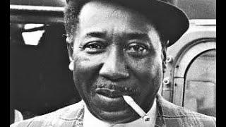 Muddy Waters .. 1964 .. Manchester .. Blow Wind Blow