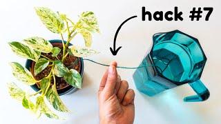 Absolute Top 20 Plant Hacks Thatll Blow Your Mind