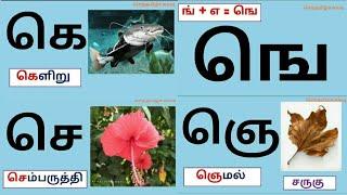 தமிழ்உயிர் மெய் எழுத்துக்கள்கெ ஙெ வரிசைசெந்தமிழ்ச்சுவடி