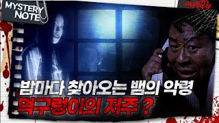 미스터리 노트 밤마다 찾아오는 뱀의 악령 먹구렁이의 저주?｜#미스터리노트 MBC961115방송