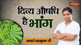 दिव्य औषधि है भांग  भांग के आयुर्वेदिक उपयोग  Acharya Balkrishna Ji Ke Nuskhe  Sanskar TV